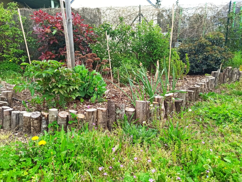 bordure massif en rondin bois