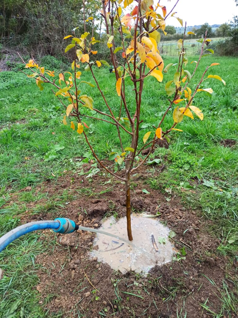 exemples aménagement jardin création