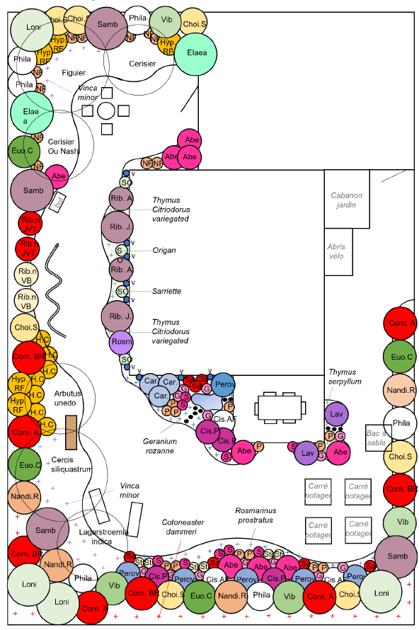 Exemples de conception de jardins plan de plantation