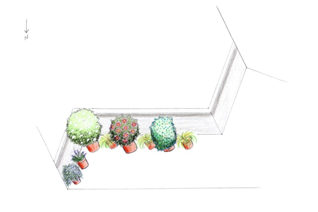 conception balcon végétalisé