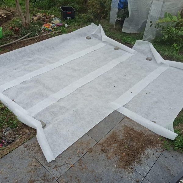 exemples amÃ©nagement jardin crÃ©ation terrasse palettes