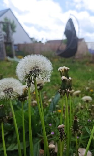 Aménagement de jardin respectueux de l'environnement par le paysagiste Eklore