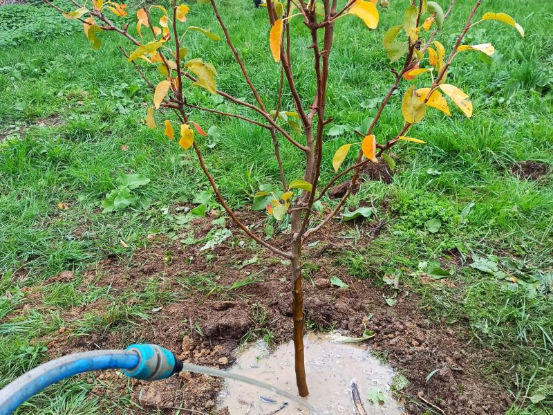 exemples amÃ©nagement jardin crÃ©ation