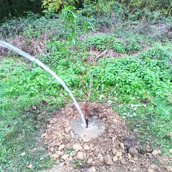 exemples amÃ©nagement jardin crÃ©ation