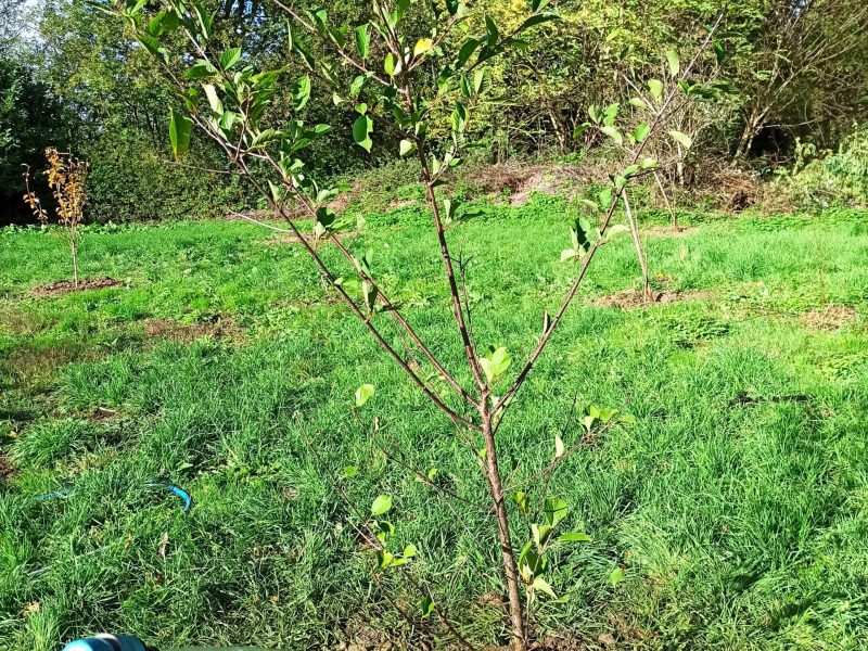 exemples amÃ©nagement jardin crÃ©ation