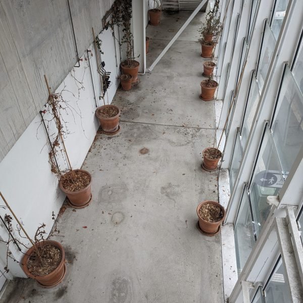 PXL_20240222_133745109