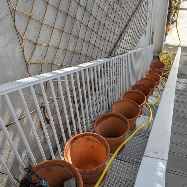 PXL_20240410_083315340.MP