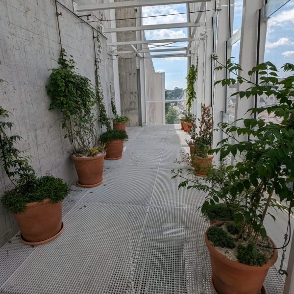 PXL_20240610_074718234