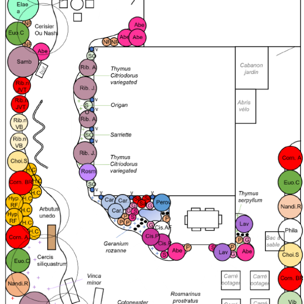 Exemples de conception de jardins plan de plantation