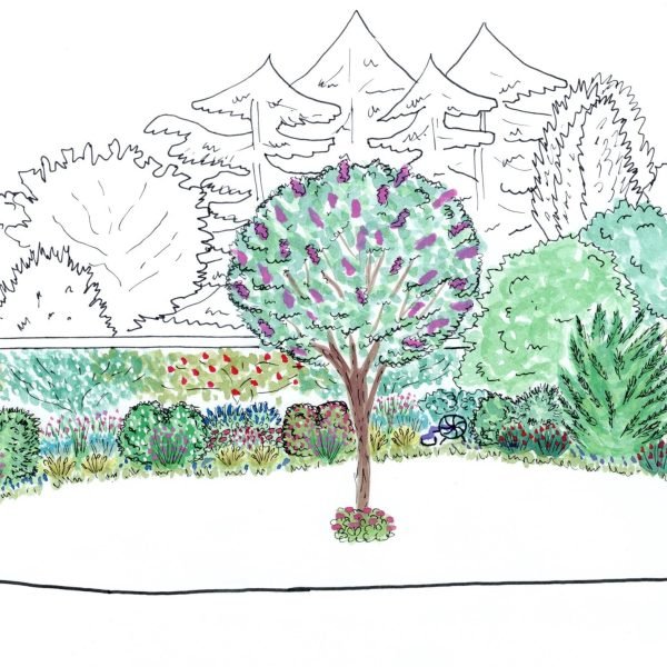 Exemples conception de jardins