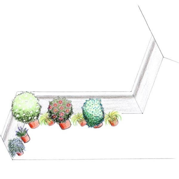 conception balcon végétalisé
