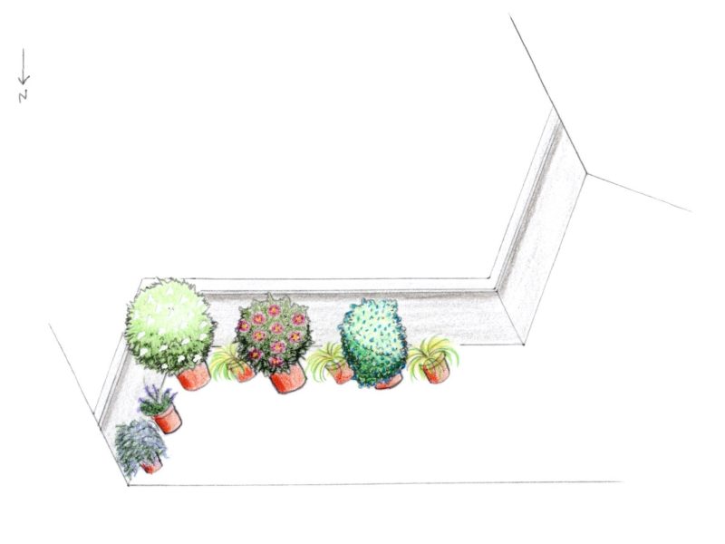 conception balcon végétalisé