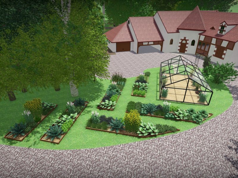ilot potager des simples