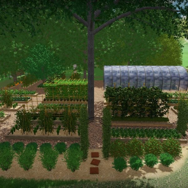 potager et petits fruits