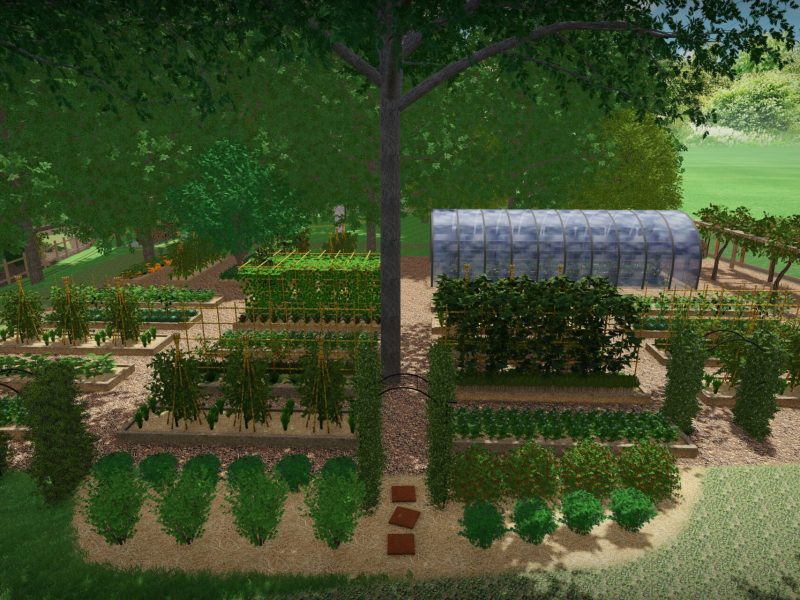 potager et petits fruits