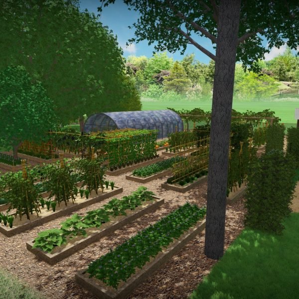 potager