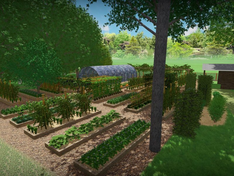 potager