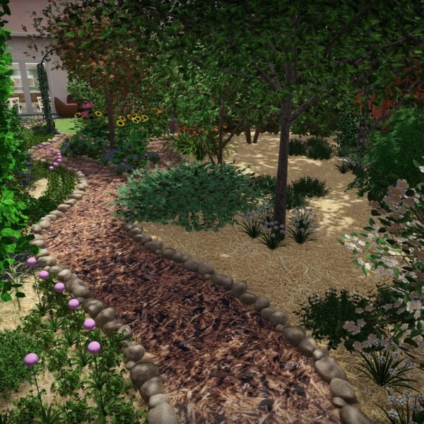 vue jardin 3