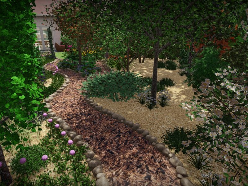 vue jardin 3