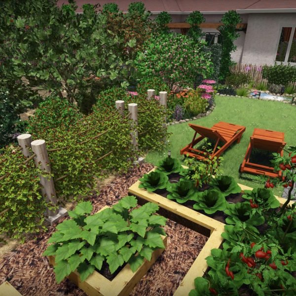 vue jardin 4