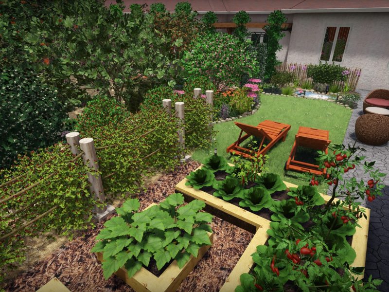vue jardin 4