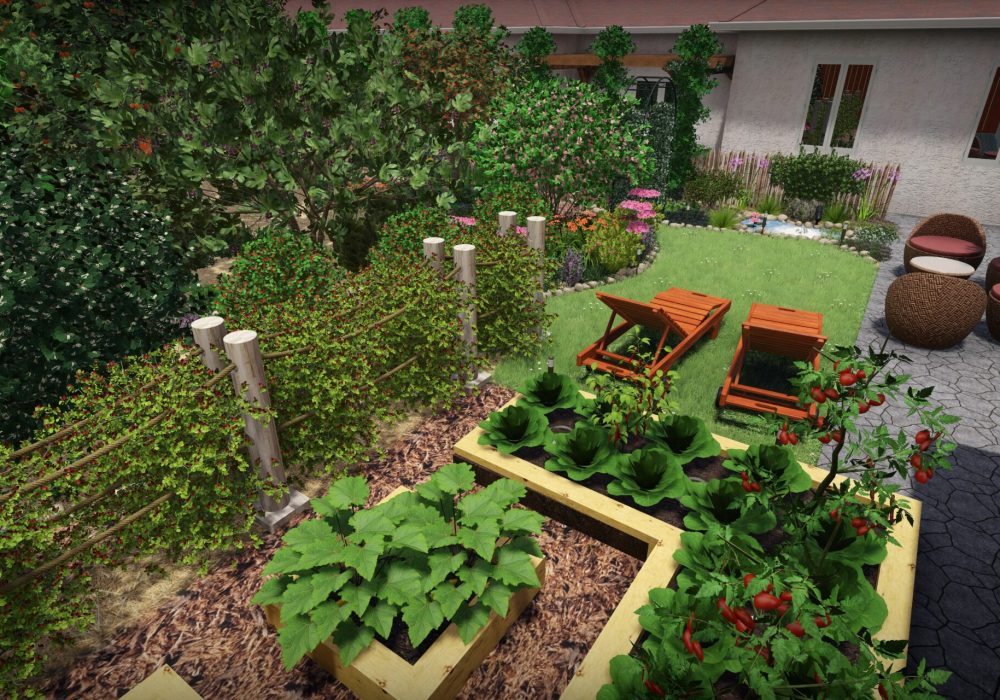 vue jardin 4