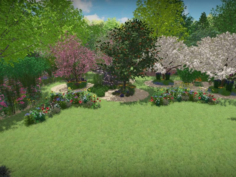 vue jardin foret