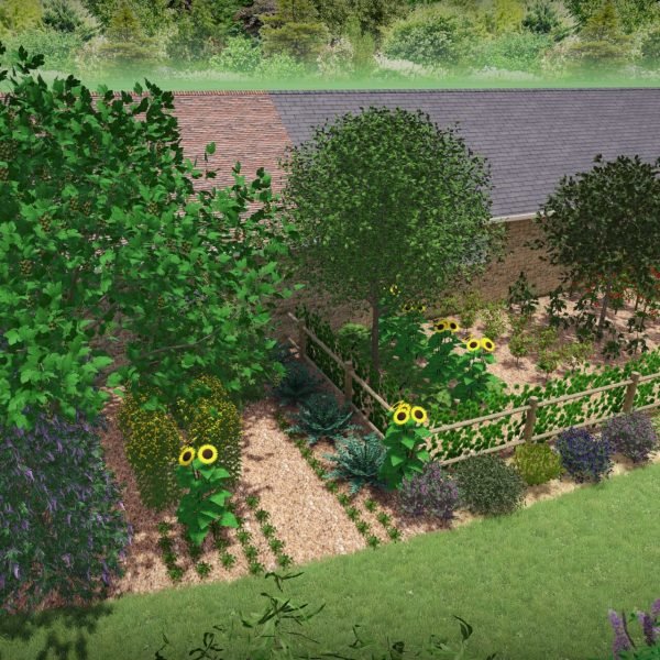 vue potager 1