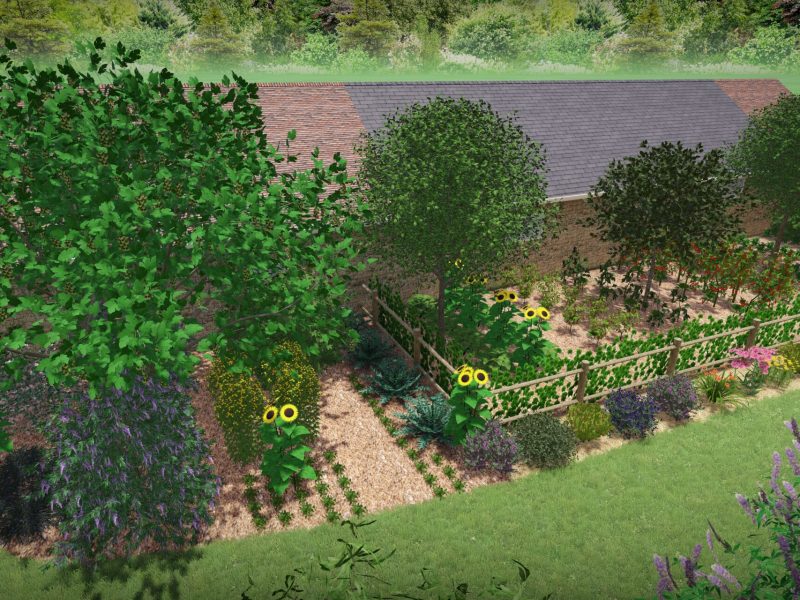 vue potager 1