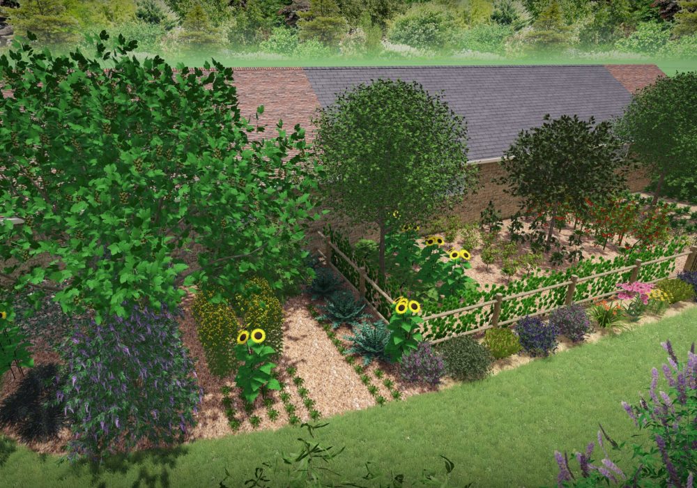 vue potager 1